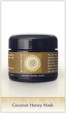Annmarie Gianni Coconut Honey Mask