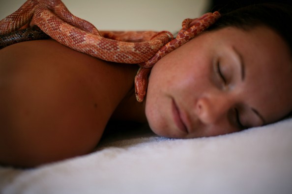 Snake massage