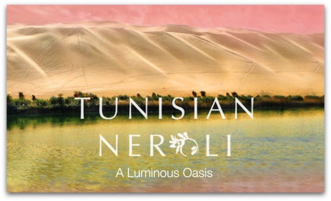 Tunisian neroli